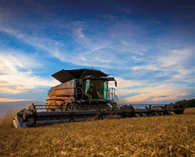 IDEAL revolucionará la oferta de…